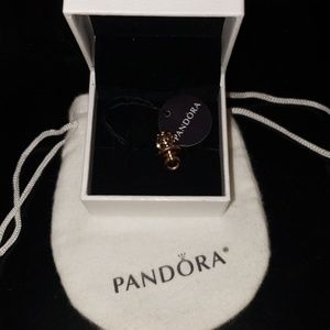 Rose gold pandora binky charm